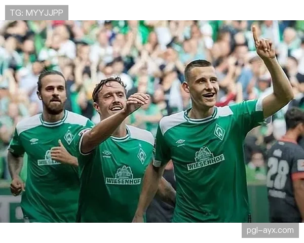 汉堡队当前阵容结构与战术体系分析